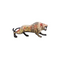 Brass Showpiece Lion Statue 1.48kg